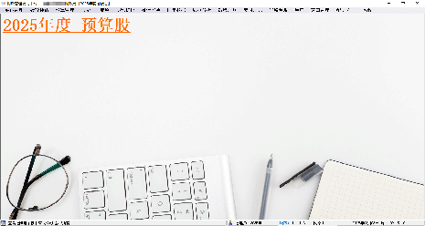 财政管理辅助平台